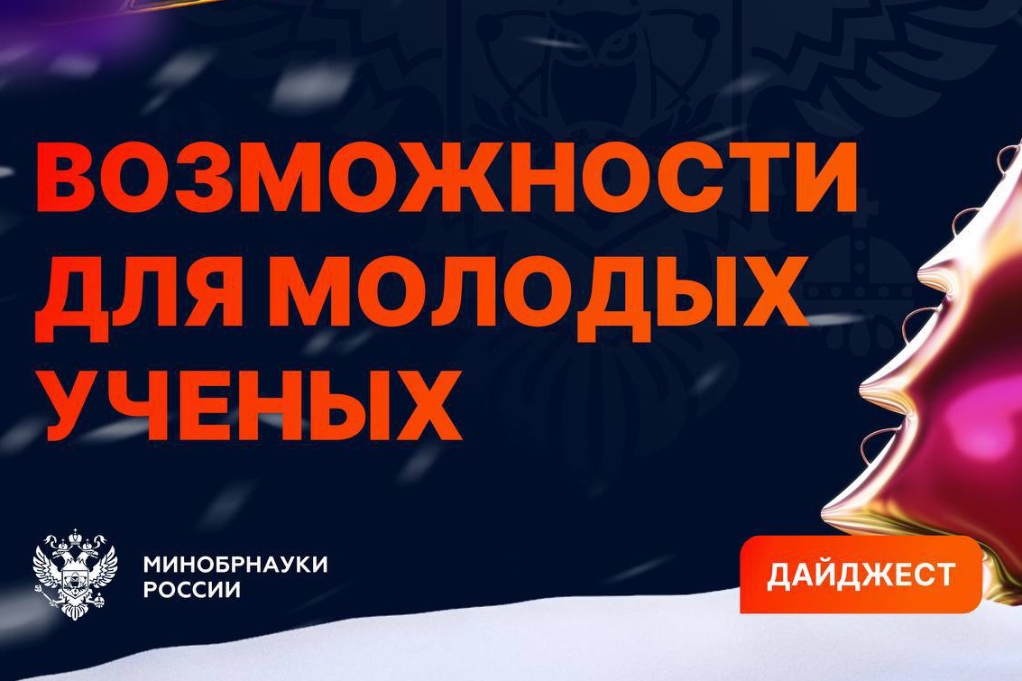 Новогодние каникулы для молодых ученых. Как интересно провести праздники 