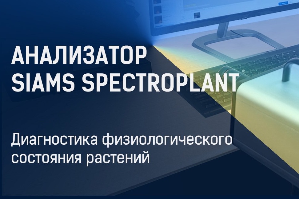 Партнер НАШЕЙ ЛАБЫ - компания SIAMS рассказывает о создании анализатора SIAMS SpectroPlant для исследования физиологического состояния растений в партнерстве с учеными ТюмГУ