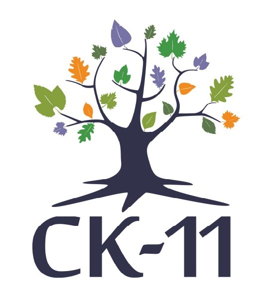 CK11.Real-Time Analytics