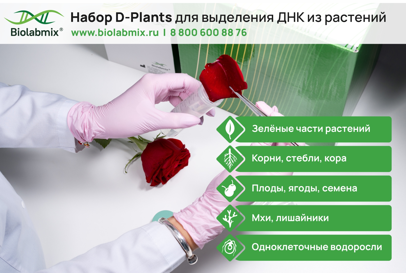 مجموعة D-Plants لاستخراج الحمض النووي من النباتات