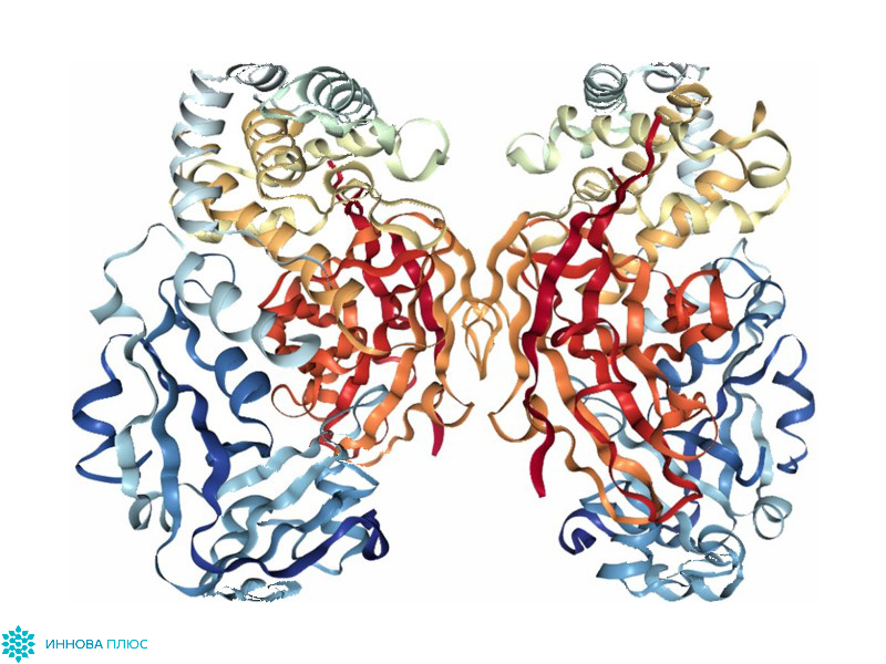 Рекомбинантый белок CRM197