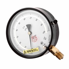 Pressure gauge MTIf-100 