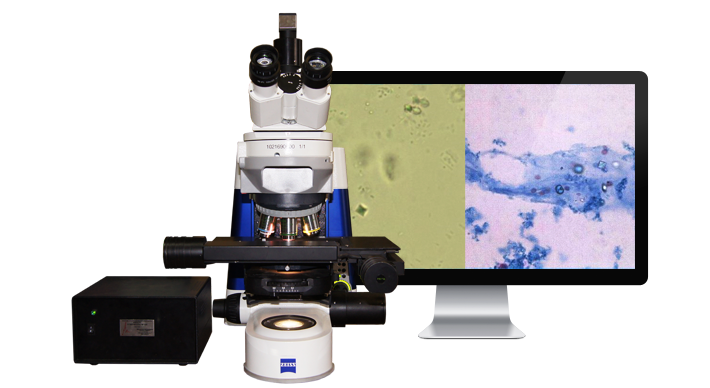 Сканер MECO-SCAN для анализа осадков биологических жидкостей