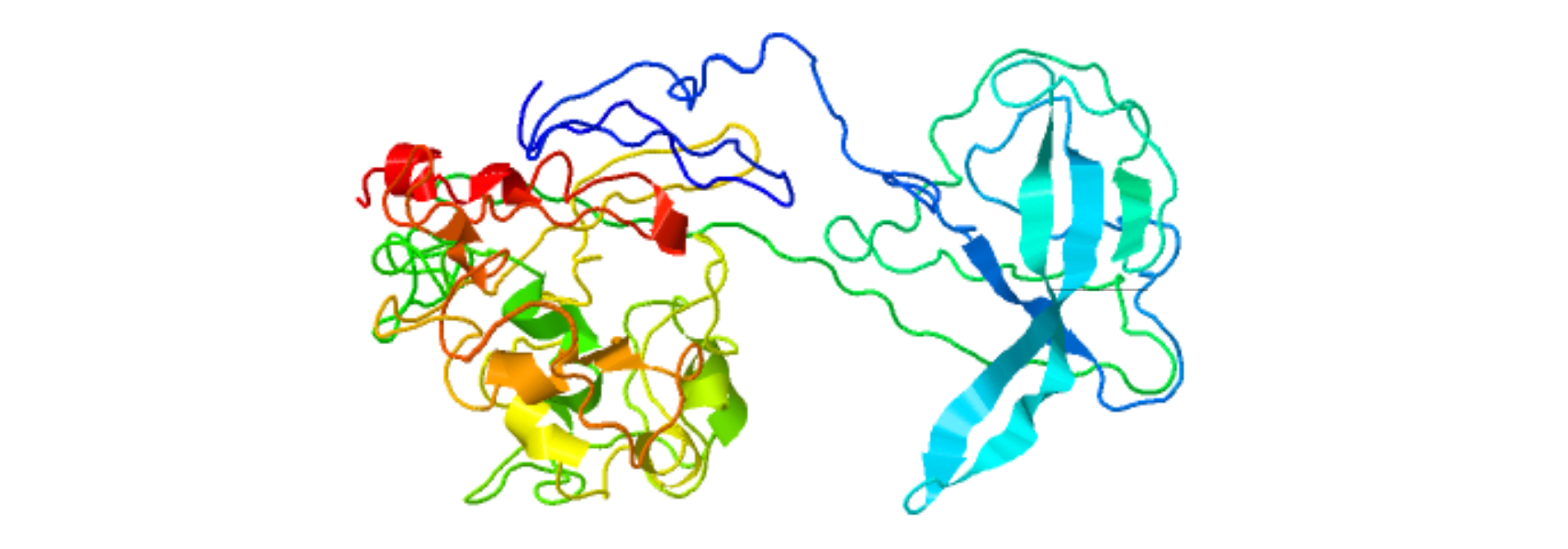 Рекомбинантный N белок вируса SARS-CoV-2