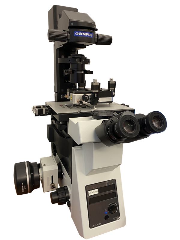 Certus Optic I — совмещенные сканирующий зондовый (СЗМ) и оптический микроскопы