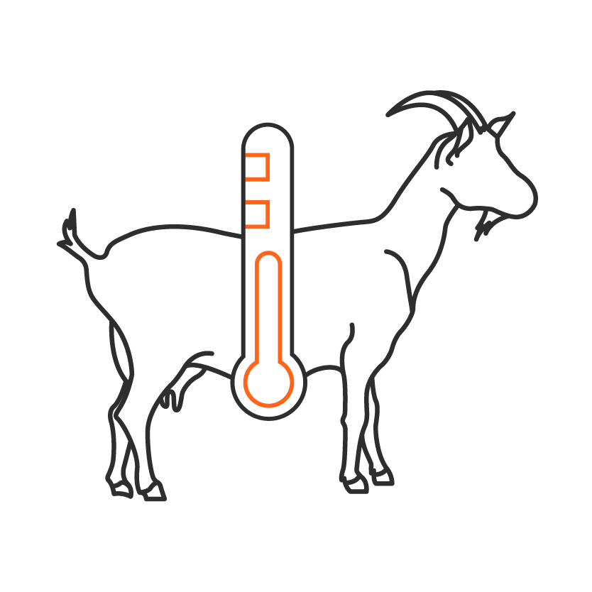 Тест-системы «АртТест Энцефалит коз»