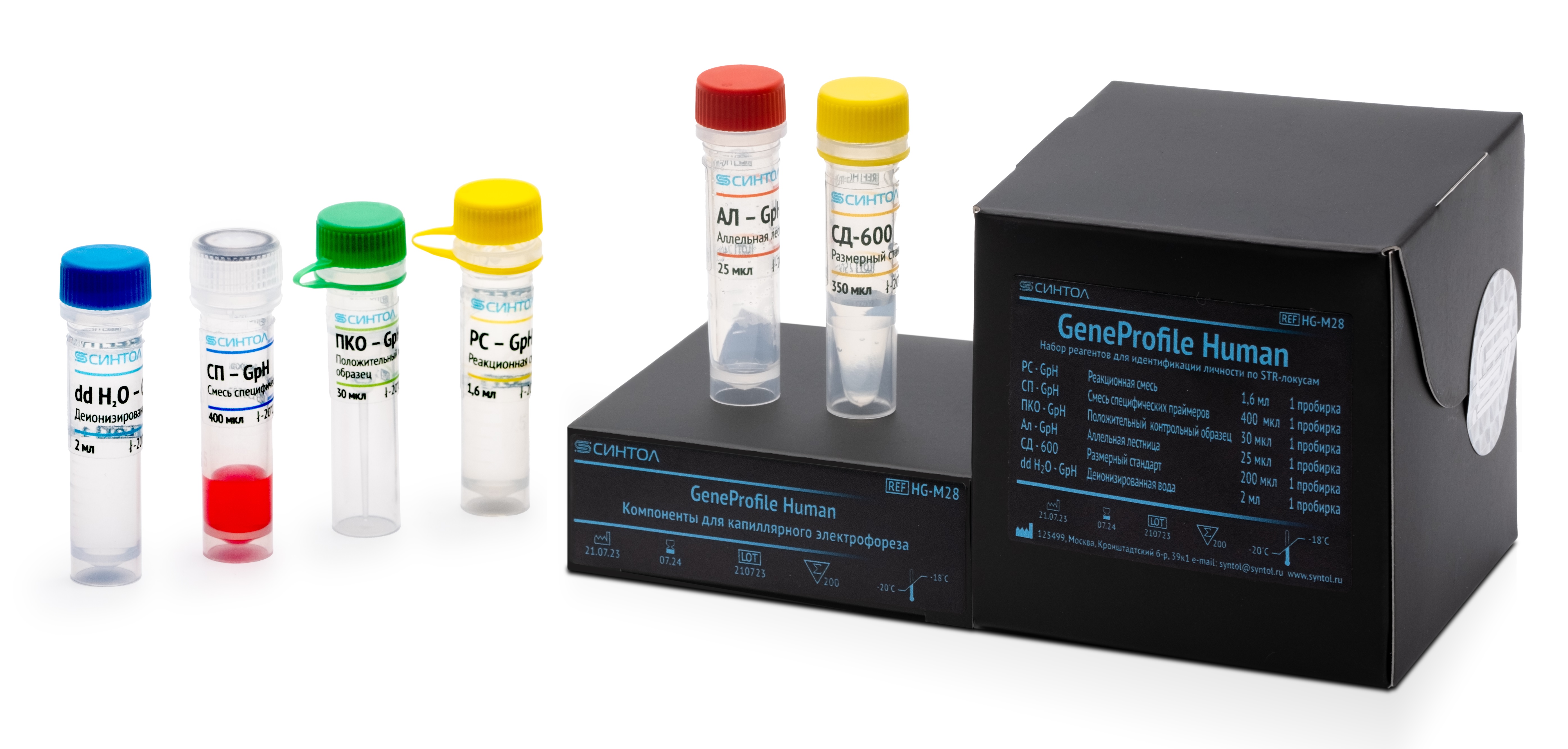 «Gene Profile Human» reagent kit for personal identification using 28 STR loci