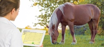 Компьютерный электрокардиограф для лошадей Поли-Спектр-8/В (для крупных животных)